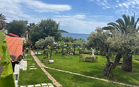 Angeliki Beach Hotel